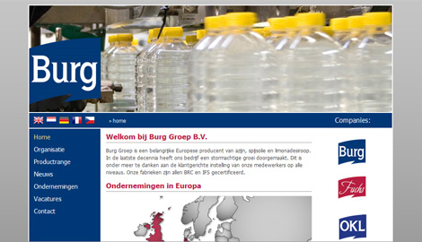 Screenshot van de Burg Groep website